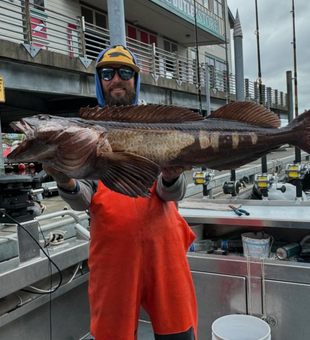 Size Matters: Holding up a trophy Lingcod catch!